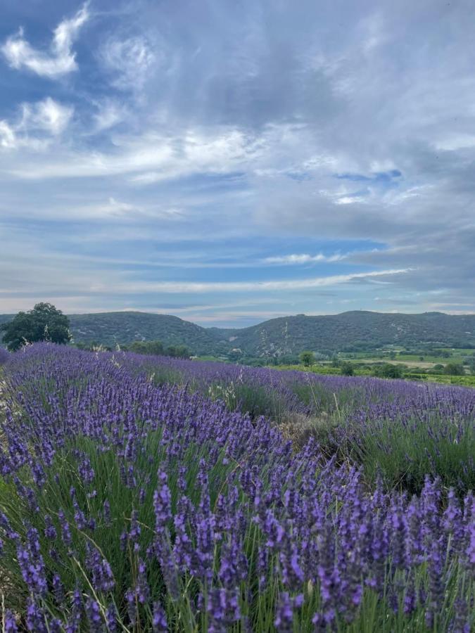 Gite Passiflore Frigoulet Eksteriør billede